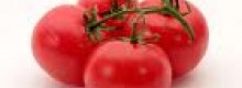 Arriva il pomodoro contro l invecchiamento